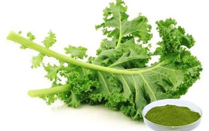 Organic Good quality plant extract natural pigment vegetablepowder freeze-dried organic pure water kale powder