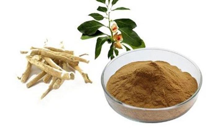 Organic Ashwagandha Extract