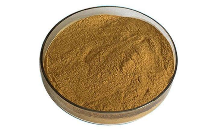 Organic Organic Chaga Mushroom Extract