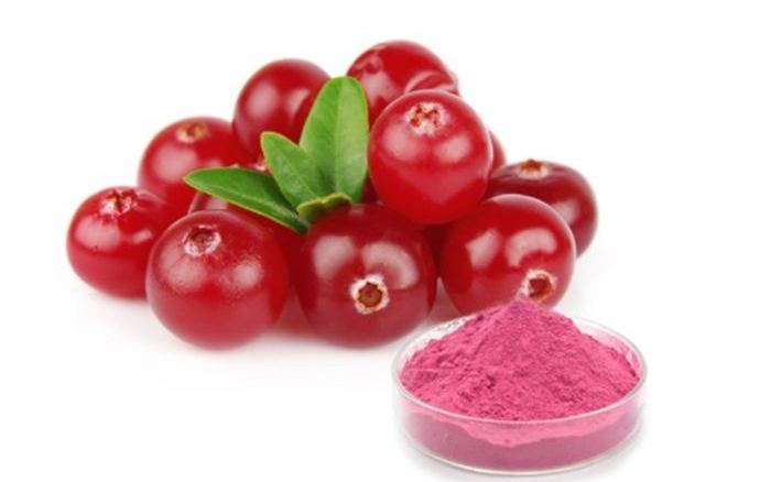 Organic Organic pure quality best price organic supply fruit grade powder cranberry powder
