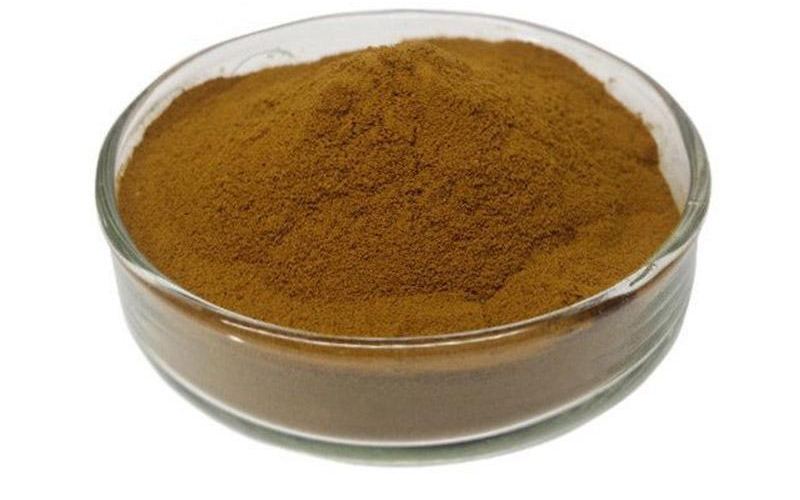 Organic Organic Maitake Mushroom Extract