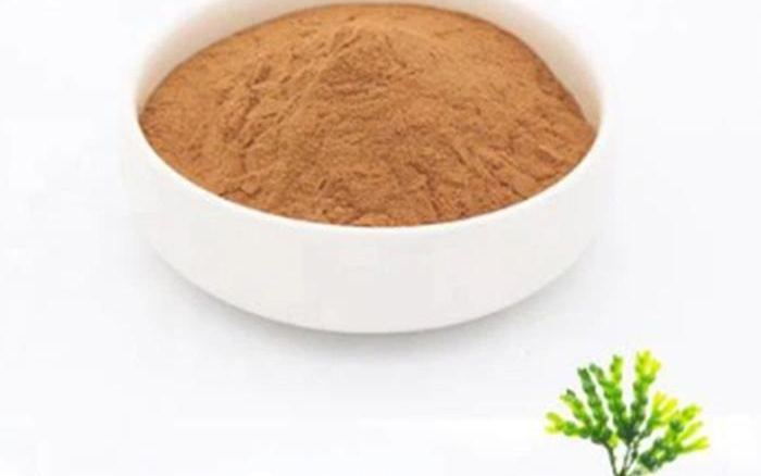 Organic Bladderwrack Extract