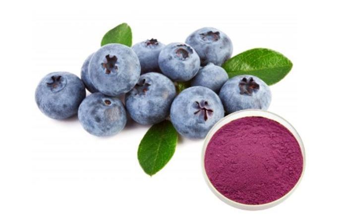 Organic Fruit fiber organic super  powder organic pure quality freeze-dried extract blueberry powder