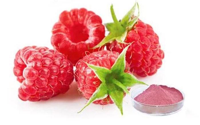 Organic Supply food grade powder best price  Organic Raspberry Powder quality food grade  powder 100% pure fruit powder