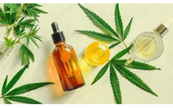Organic CBD full spectrum pure THC free high quality no pesticide residue no heavy metal residue CBD distillated oil  refined oil