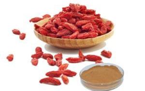 Health Benefits and Applications of Goji Extract