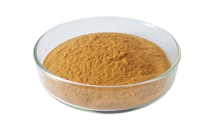 Organic Organic Lion's Mane Mushroom Extract