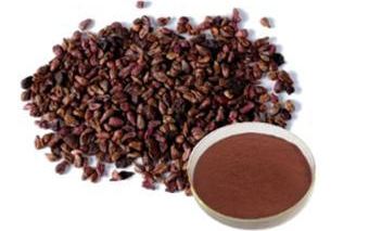 What Does Grape Seed Extract Do for You?