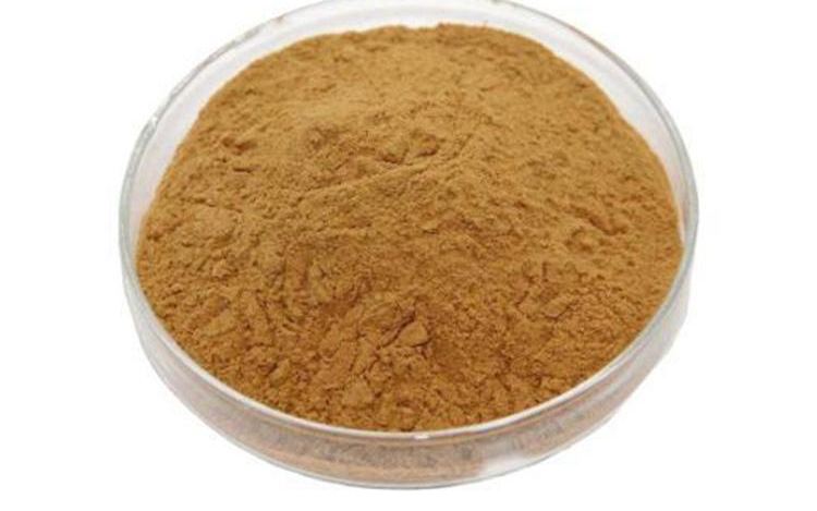 Organic Organic Cordyceps Militaris Extract