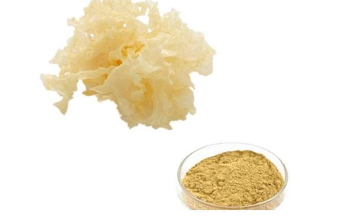 Organic Snow Mushroom Extract