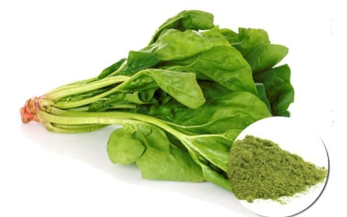 Organic Vegetable powder spinach extract powder organic pure quality