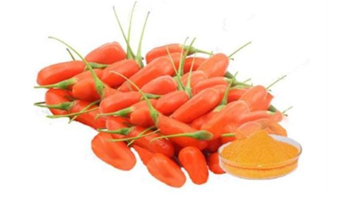 Organic Best price organic freeze-dried organic pure goji berry powder