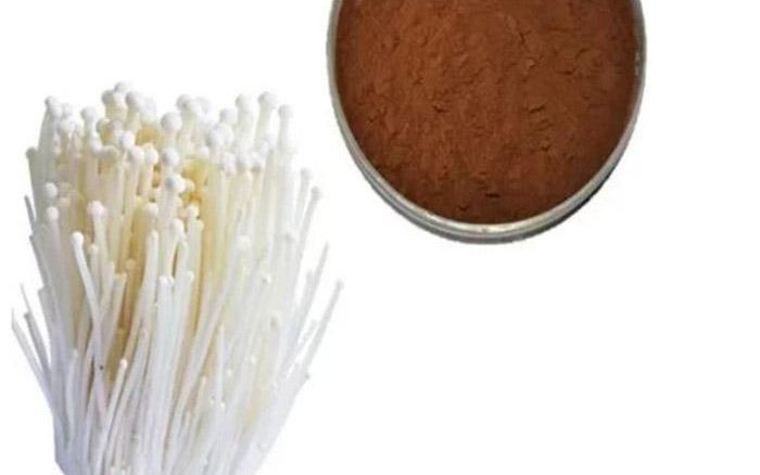 Organic Enoki Mushroom Powder