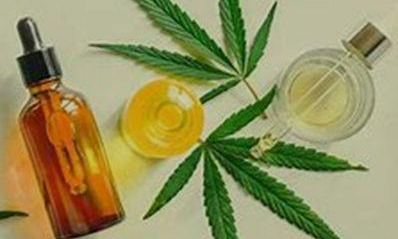 CBD Oil