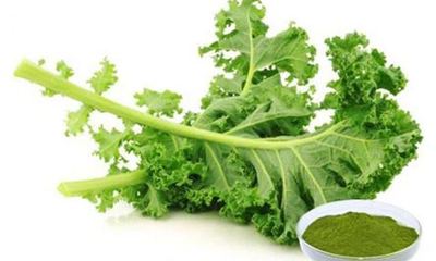 Kale Powder
