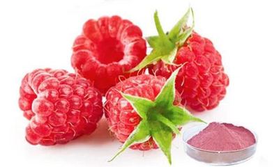 Organic Raspberry Powder