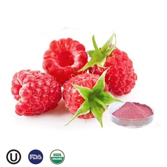 Organic Supply food grade powder best price Organic Raspberry Powder quality food grade powder 100% pure fruit powder