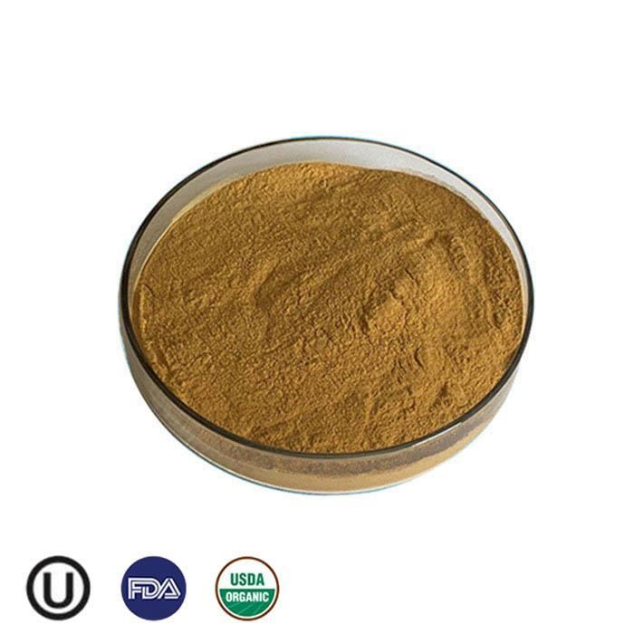 Organic Organic Chaga Mushroom Extract