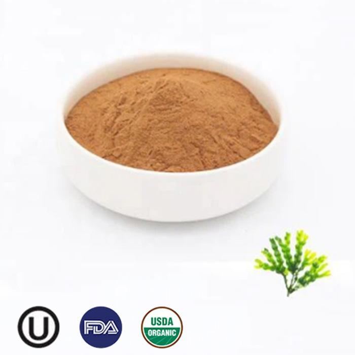 Organic Bladderwrack Extract
