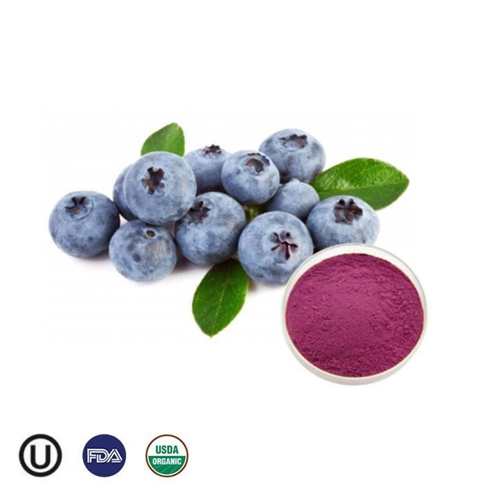 Organic Fruit fiber organic super powder organic pure quality freeze-dried extract blueberry powder