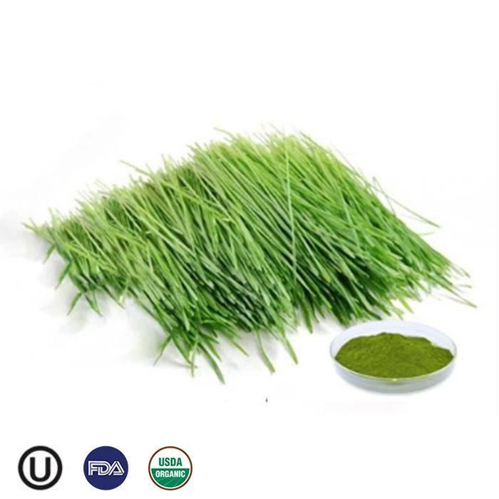 Organic Vegetable seasoning powder freeze-dried organic pure quality barley grass powde