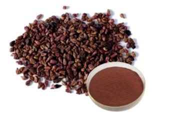 What Does Grape Seed Extract Do for You?