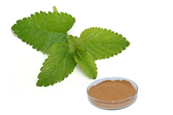 What Is Lemon Balm Extract Good For?