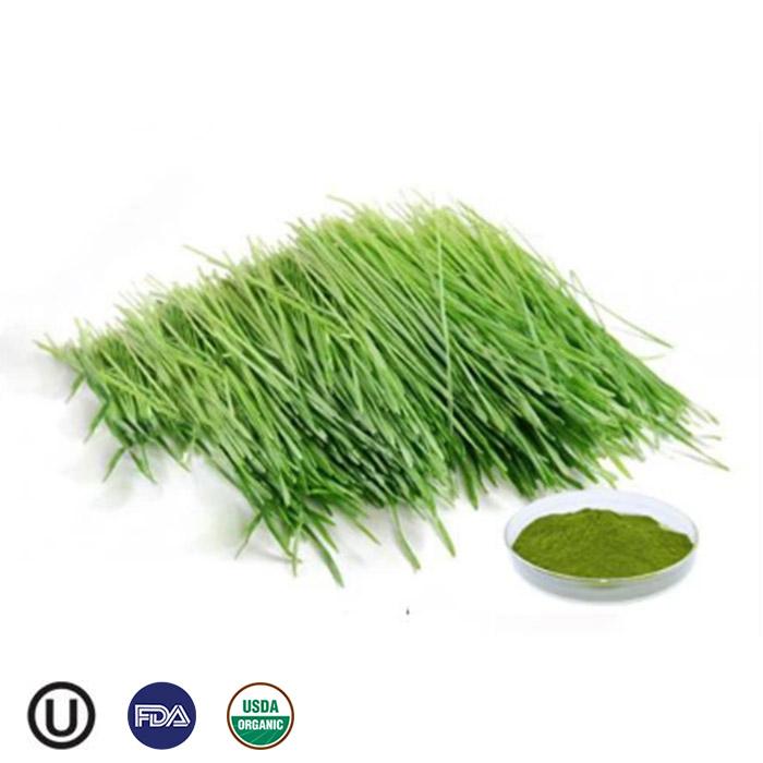 Organic Vegetable seasoning powder freeze-dried organic pure quality barley grass powde