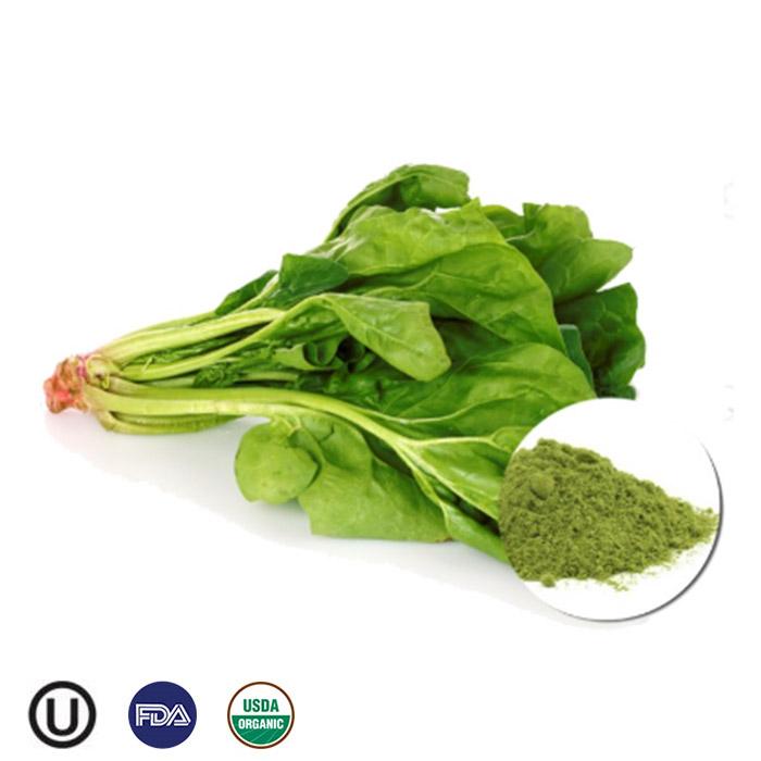 Organic Vegetable powder spinach extract powder organic pure quality