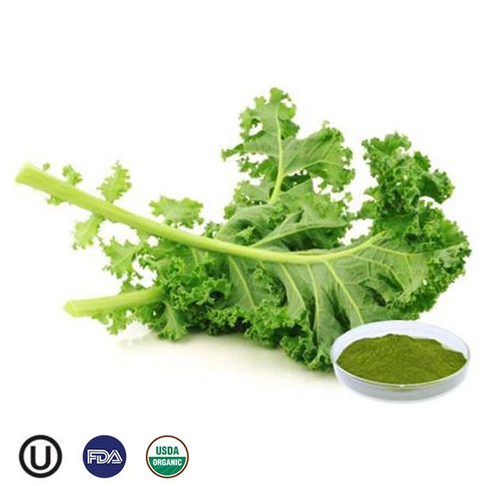 Organic Good quality plant extract natural pigment vegetablepowder freeze-dried organic pure water kale powder