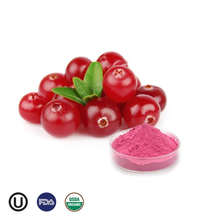 Organic Organic pure quality best price organic supply fruit grade powder cranberry powder