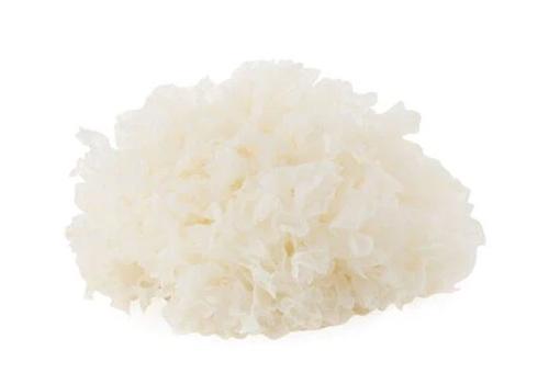 Snow Mushroom Extract (3)