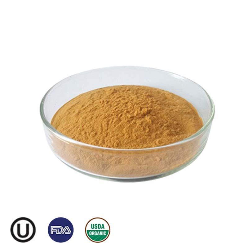 Organic Organic Lion's Mane Mushroom Extract